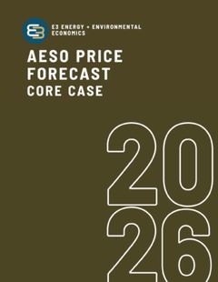 AESO cover