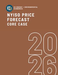 NYISO cover