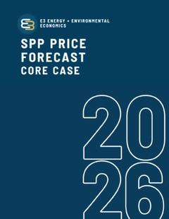 SPP cover
